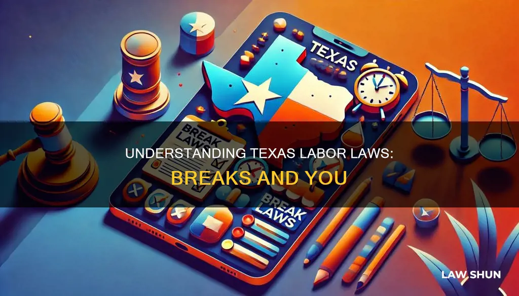 what are the labor laws for breaks in texas