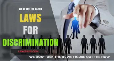 Understanding Labor Laws: Protecting Workers from Discrimination in the Workplace