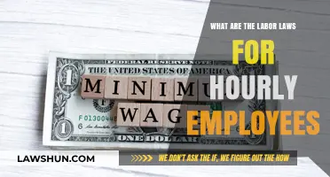 Understanding Hourly Employee Labor Laws: Rights, Wages, and Overtime Explained