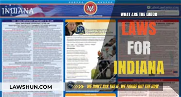 Understanding Indiana's Labor Laws: Rights, Regulations, and Workplace Protections