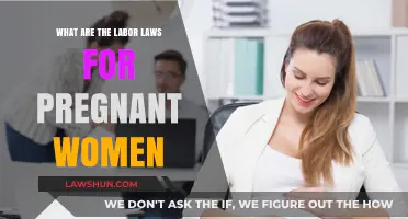 Pregnancy Labor Laws: Protecting Expecting Mothers in the Workplace