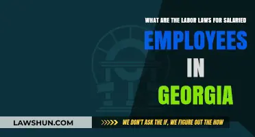 Georgia's Salaried Employee Labor Laws: Rights, Protections, and Regulations Explained