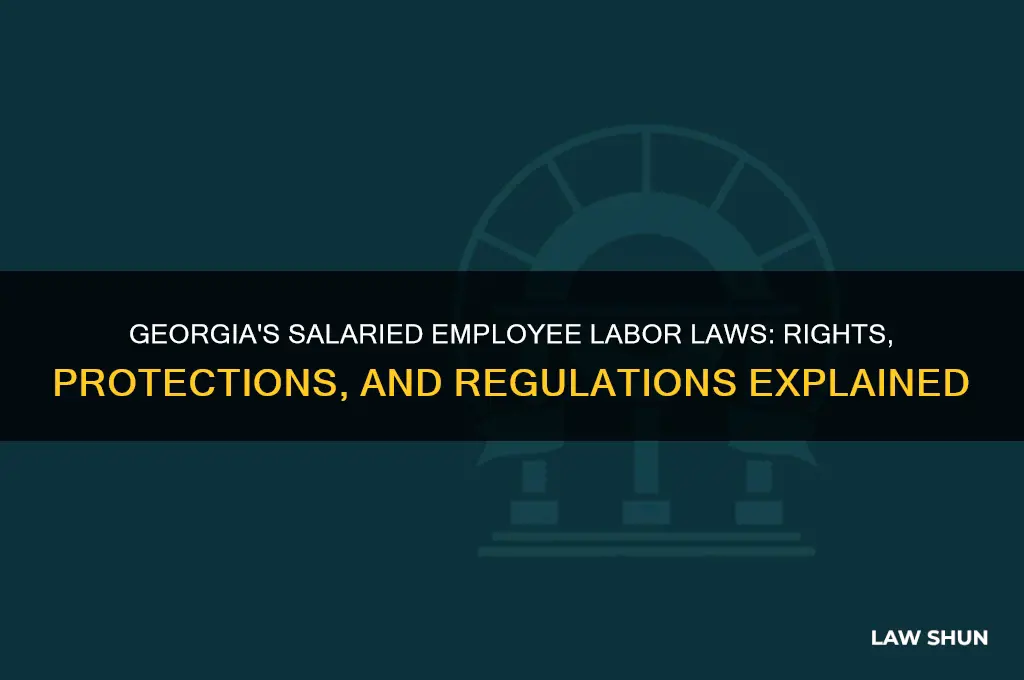 what are the labor laws for salaried employees in georgia