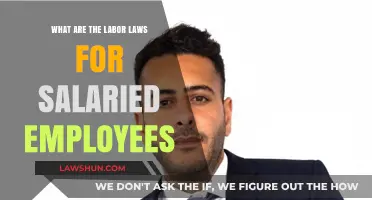 Understanding Labor Laws: Essential Rights for Salaried Employees Explained