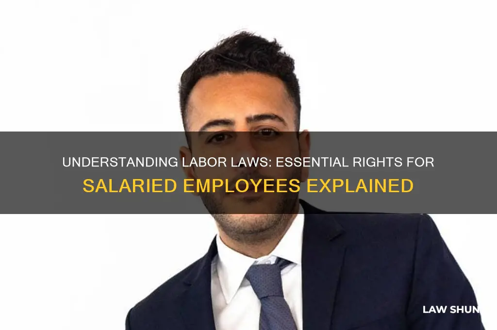 what are the labor laws for salaried employees