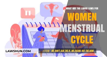 Understanding Women's Menstrual Health Rights in the Workplace