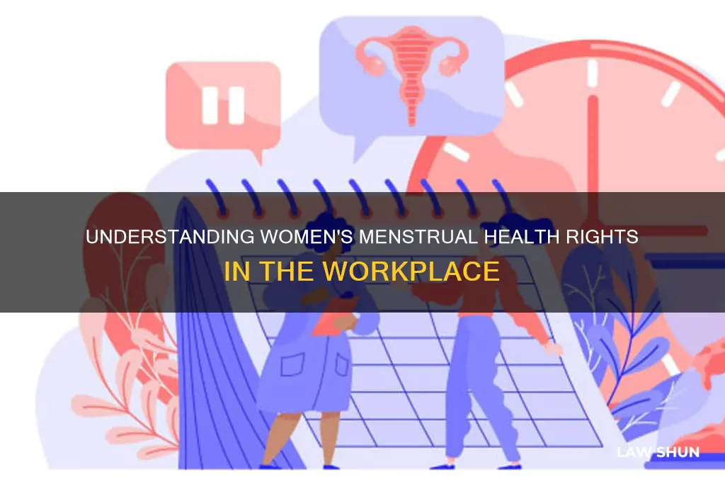 what are the labor laws for women menstrual cycle