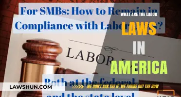 Understanding America's Labor Laws: Rights, Regulations, and Workplace Protections