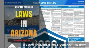 Understanding Arizona's Labor Laws: Rights, Regulations, and Workplace Protections