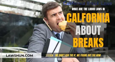 California Labor Laws: Understanding Your Break Rights