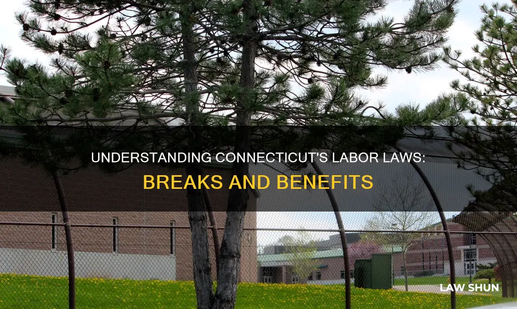 what are the labor laws in connecticut for breaks