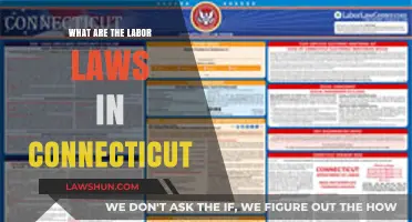 Connecticut Labor Laws: Understanding Employee Rights and Employer Responsibilities