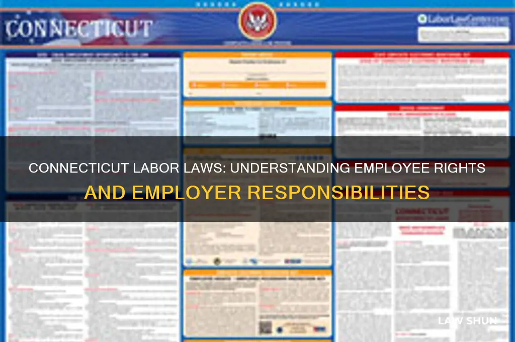 what are the labor laws in connecticut