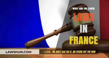 Understanding France's Labor Laws: Rights, Regulations, and Worker Protections