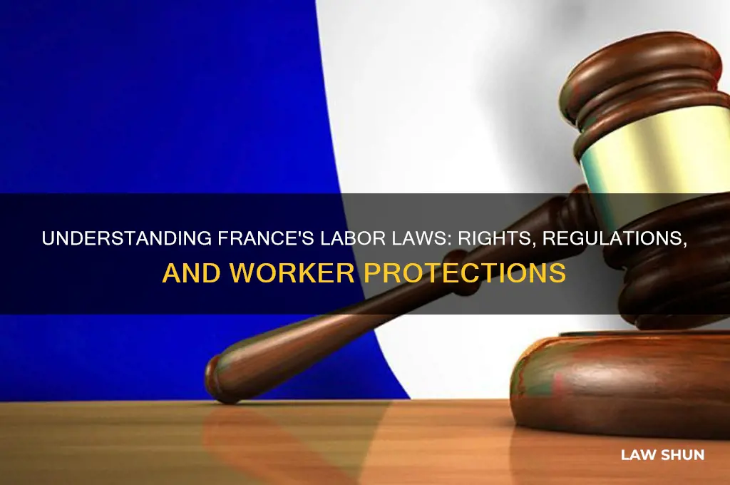 what are the labor laws in france
