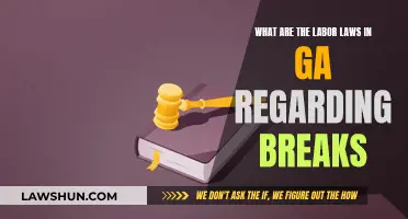 Georgia Labor Laws: Understanding Your Break Rights