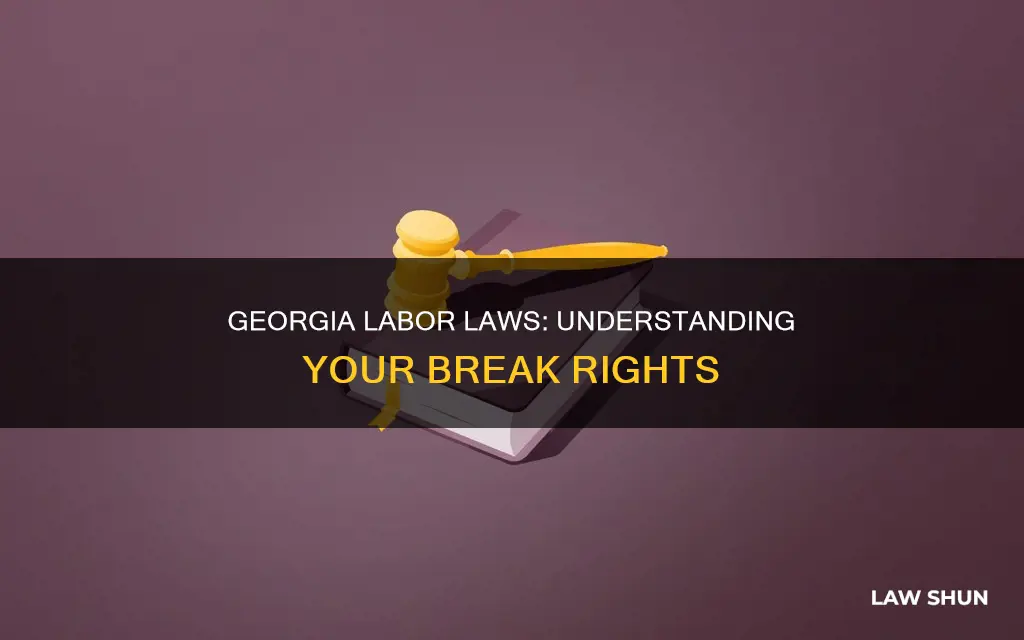 what are the labor laws in ga regarding breaks