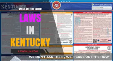 Understanding Kentucky's Labor Laws: A Comprehensive Guide for Employers and Employees