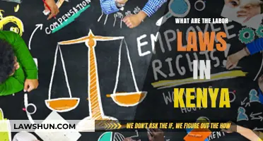Understanding Kenya's Labor Laws: Rights, Regulations, and Worker Protections