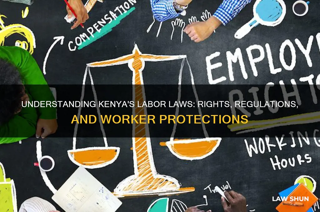 what are the labor laws in kenya