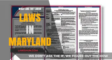 Understanding Maryland's Labor Laws: Rights, Regulations, and Workplace Protections