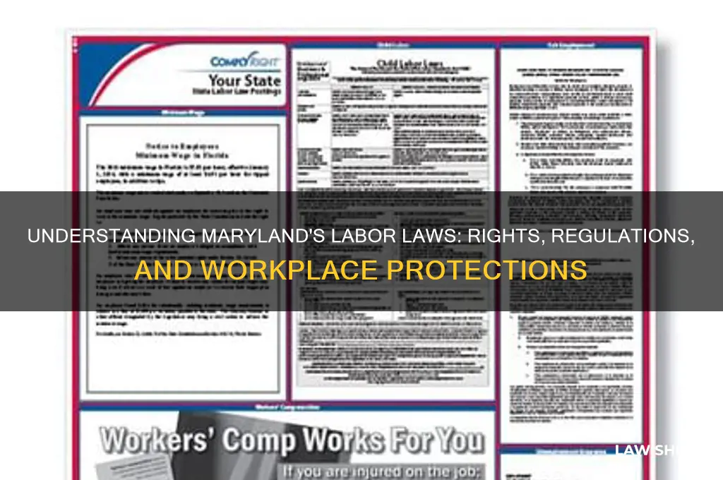 what are the labor laws in maryland