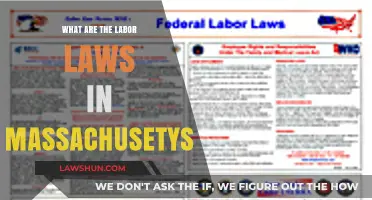 Understanding Massachusetts Labor Laws: Essential Rights and Regulations for Workers