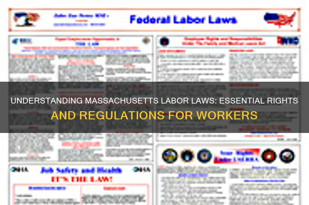 what are the labor laws in massachusetys