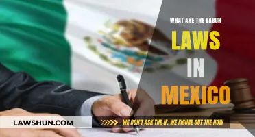 Understanding Mexico's Labor Laws: Rights, Regulations, and Workplace Protections