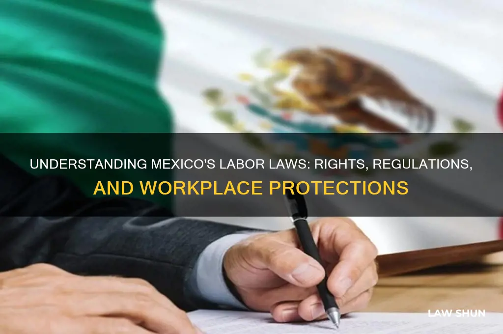what are the labor laws in mexico