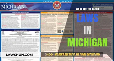 Understanding Michigan's Labor Laws: Rights, Regulations, and Workplace Protections