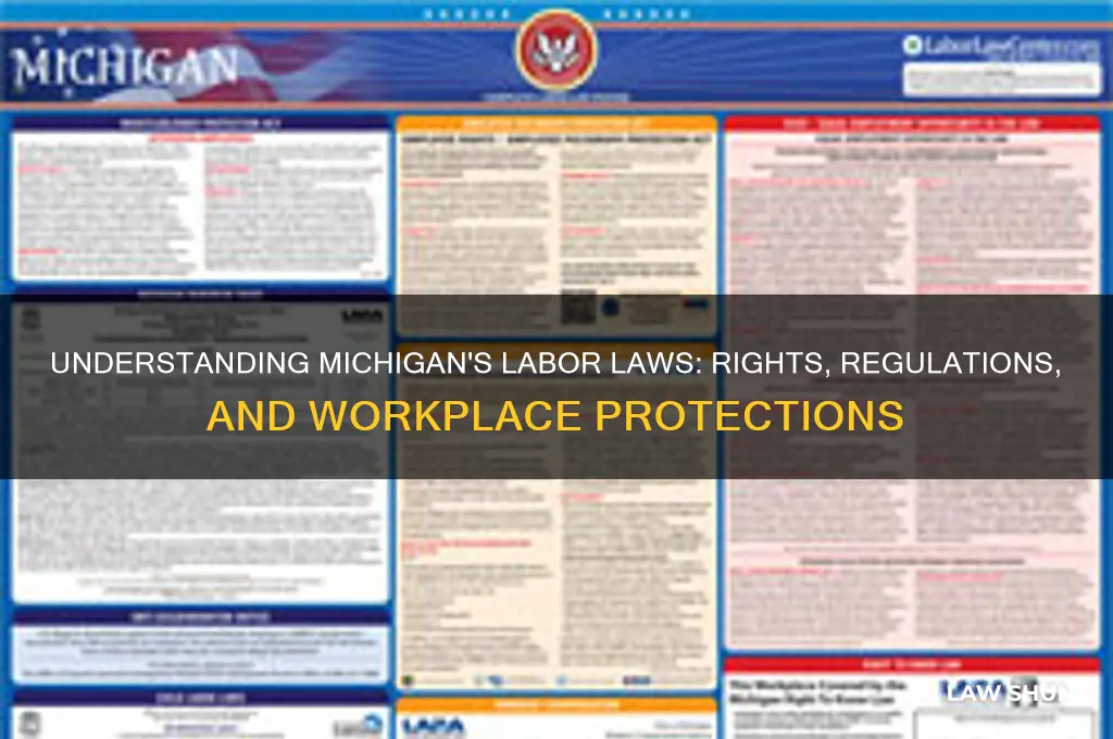 what are the labor laws in michigan