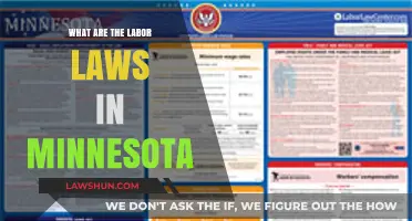 Understanding Minnesota Labor Laws: Rights, Regulations, and Workplace Protections