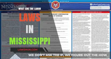 Understanding Mississippi Labor Laws: Rights, Regulations, and Workplace Protections
