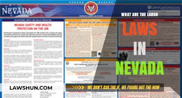 Nevada Labor Laws: Understanding Employee Rights and Employer Responsibilities