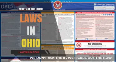 Ohio Labor Laws: Understanding Employee Rights and Employer Responsibilities