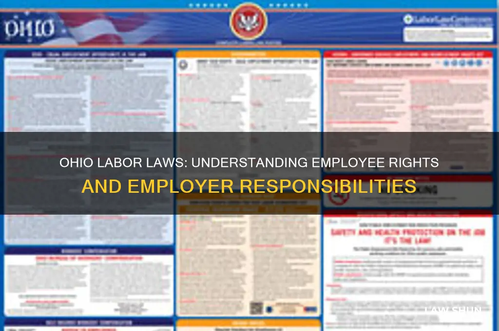 what are the labor laws in ohio