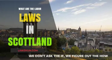 Understanding Scotland's Labor Laws: Rights, Regulations, and Workplace Protections