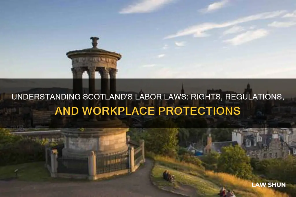 what are the labor laws in scottland