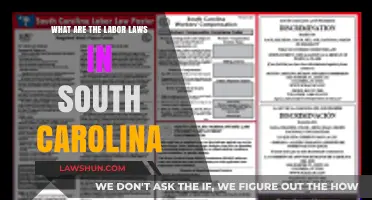 Understanding South Carolina's Labor Laws: A Comprehensive Guide for Workers
