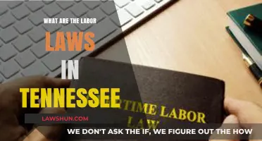 Understanding Tennessee's Labor Laws: A Comprehensive Guide for Employers and Employees