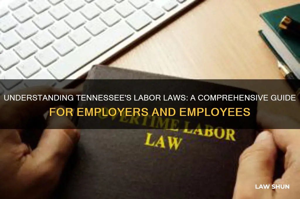 what are the labor laws in tennessee