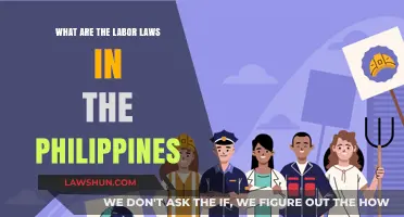 Understanding Philippine Labor Laws: Rights, Regulations, and Worker Protections