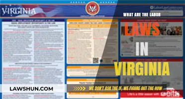 Understanding Virginia's Labor Laws: Rights, Regulations, and Workplace Protections