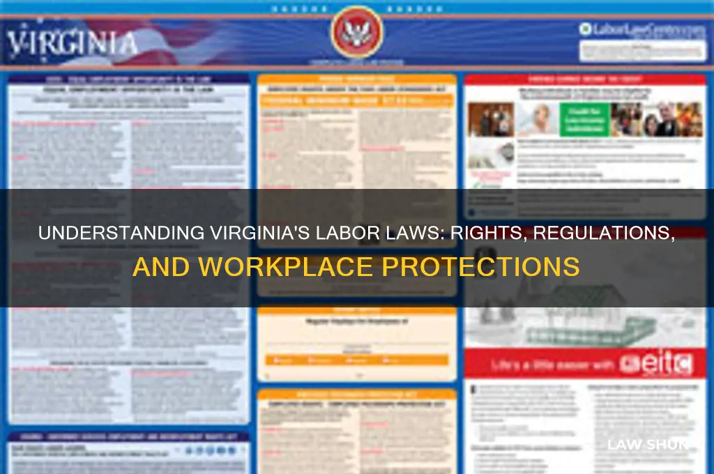 what are the labor laws in virginia