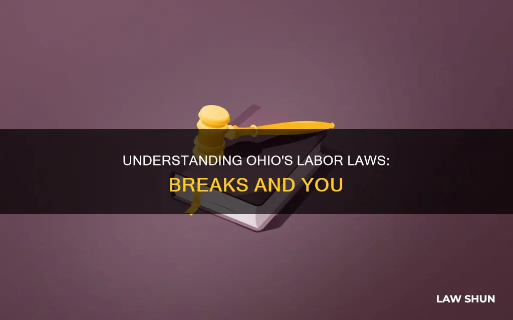 what are the labor laws on breaks in ohio