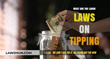Understanding Tipping: Labor Laws and Employee Rights Explained