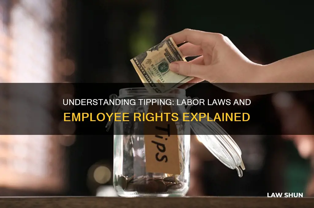 what are the labor laws on tipping