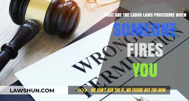 Understanding Labor Laws: Your Rights and Procedures After Being Fired