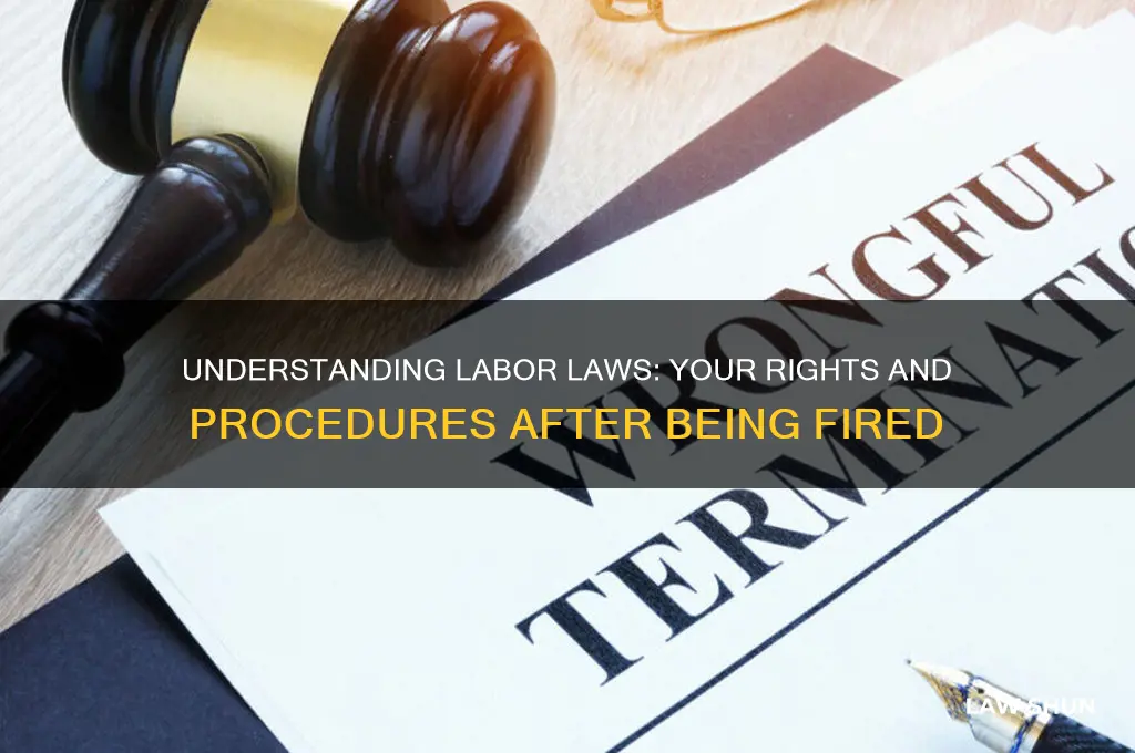 what are the labor laws procedure when someone fires you